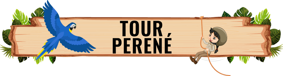 tour-perené
