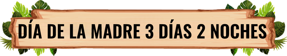 bannerkatyweb
